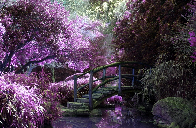 Landscaping Plants